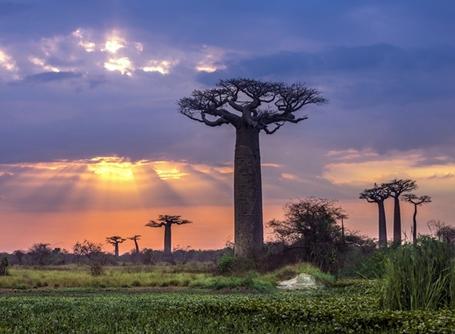 Volunteer with Projects Abroad in Madagascar Projects Abroad Madagascar