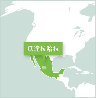 Projects Abroad 義工在墨西哥的目的地:瓜達拉哈拉 瓜達拉哈拉是城市地圖,Projects Abroad在瓜達拉哈拉設立義工項目。