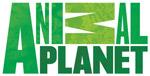 Animal Planet website logo