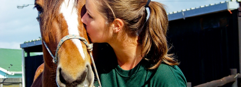 Volunteer Animal Care High School Specials with Projects Abroad Volunteer Animal Care High School Specials with Projects Abroad