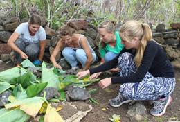 Volunteer Ecuador Volunteer Ecuador