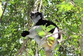 Volunteer Madagascar Volunteer Madagascar