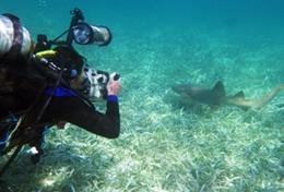 Volunteer Belize Volunteer Belize