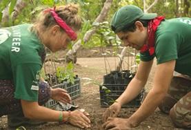 Volunteer Costa Rica Volunteer Costa Rica