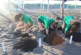 Volunteer Mexico Volunteer Mexico