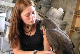 Volunteer Veterinary Medicine &<br /> Animal Care