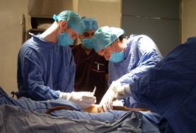 Volunteer Medicine & Healthcare Volunteer Medicine & Healthcare