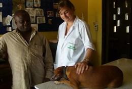 Volunteer Veterinary Medicine & <br />Animal Care Volunteer Veterinary Medicine & <br />Animal Care
